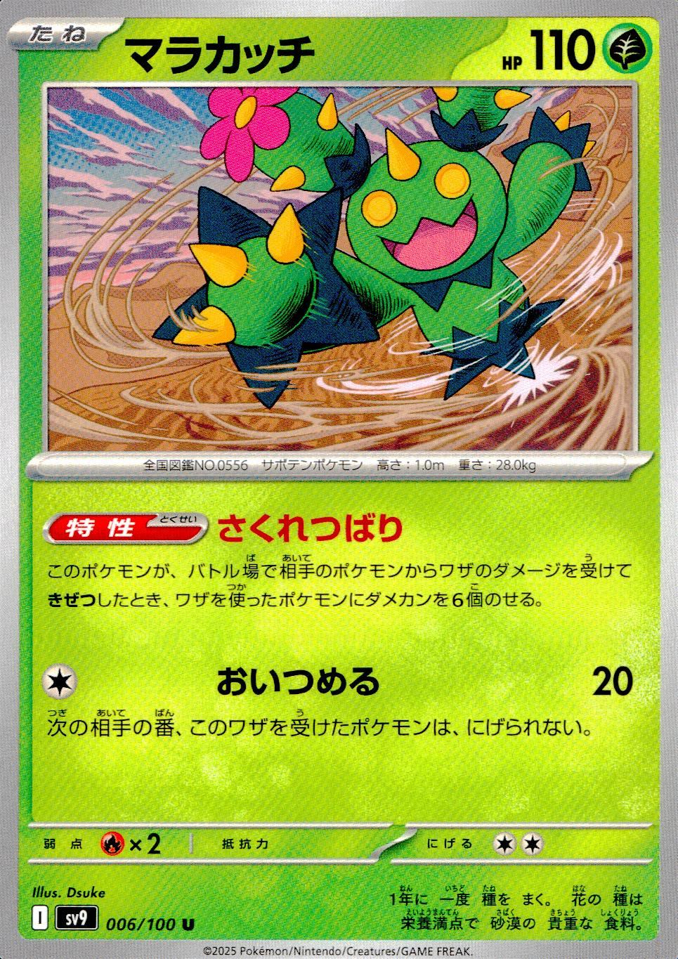006/100/SV9/B/U マラカッチ
