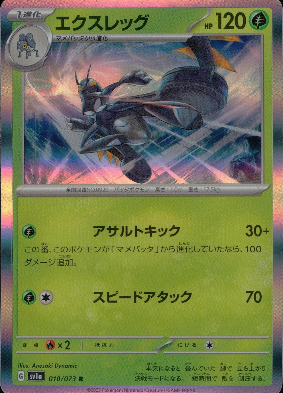 010/073/SV1A/B/R エクスレッグ