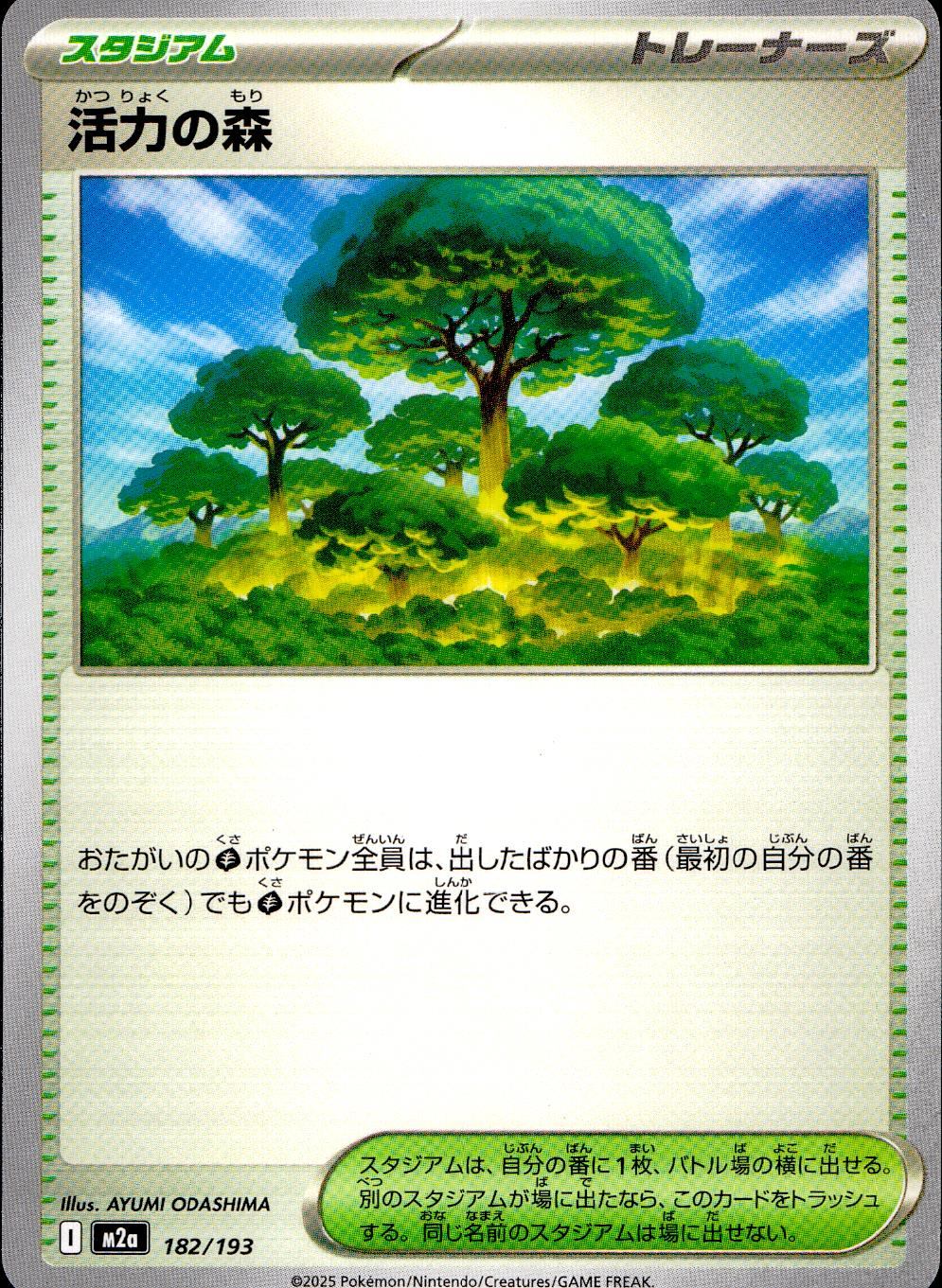 182/193/M2a 活力の森