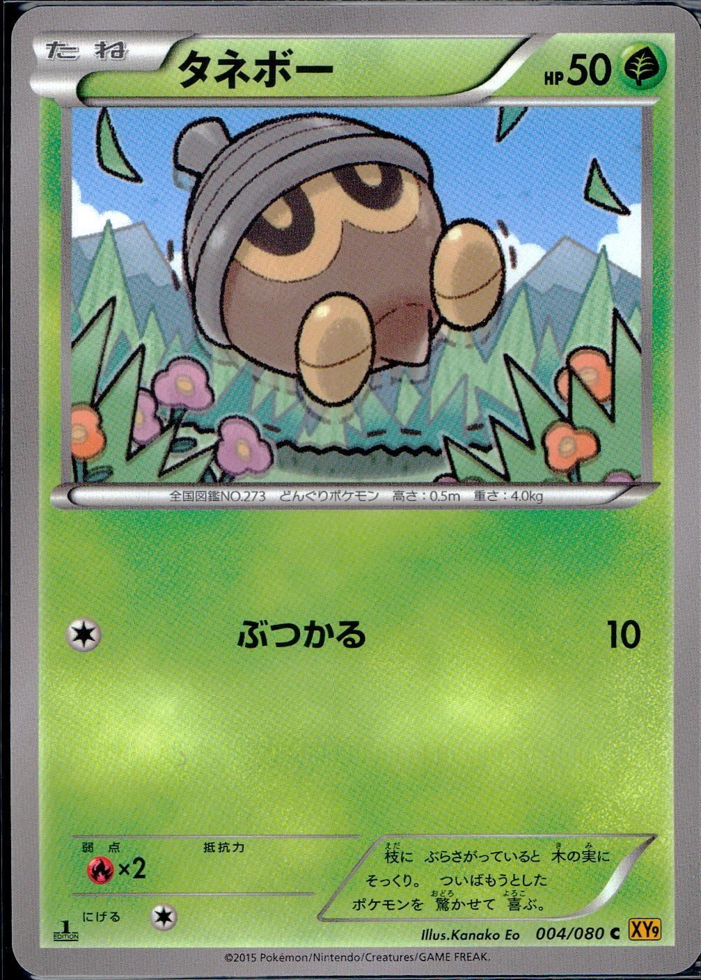 004/080/C/XY9/B タネボー