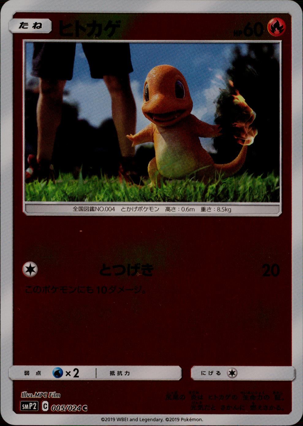 カテゴリー/ポケモン