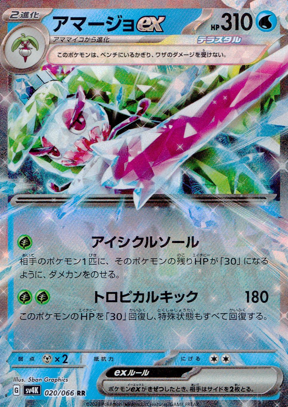 020/066/SV4K/B/RR Amarjo ex