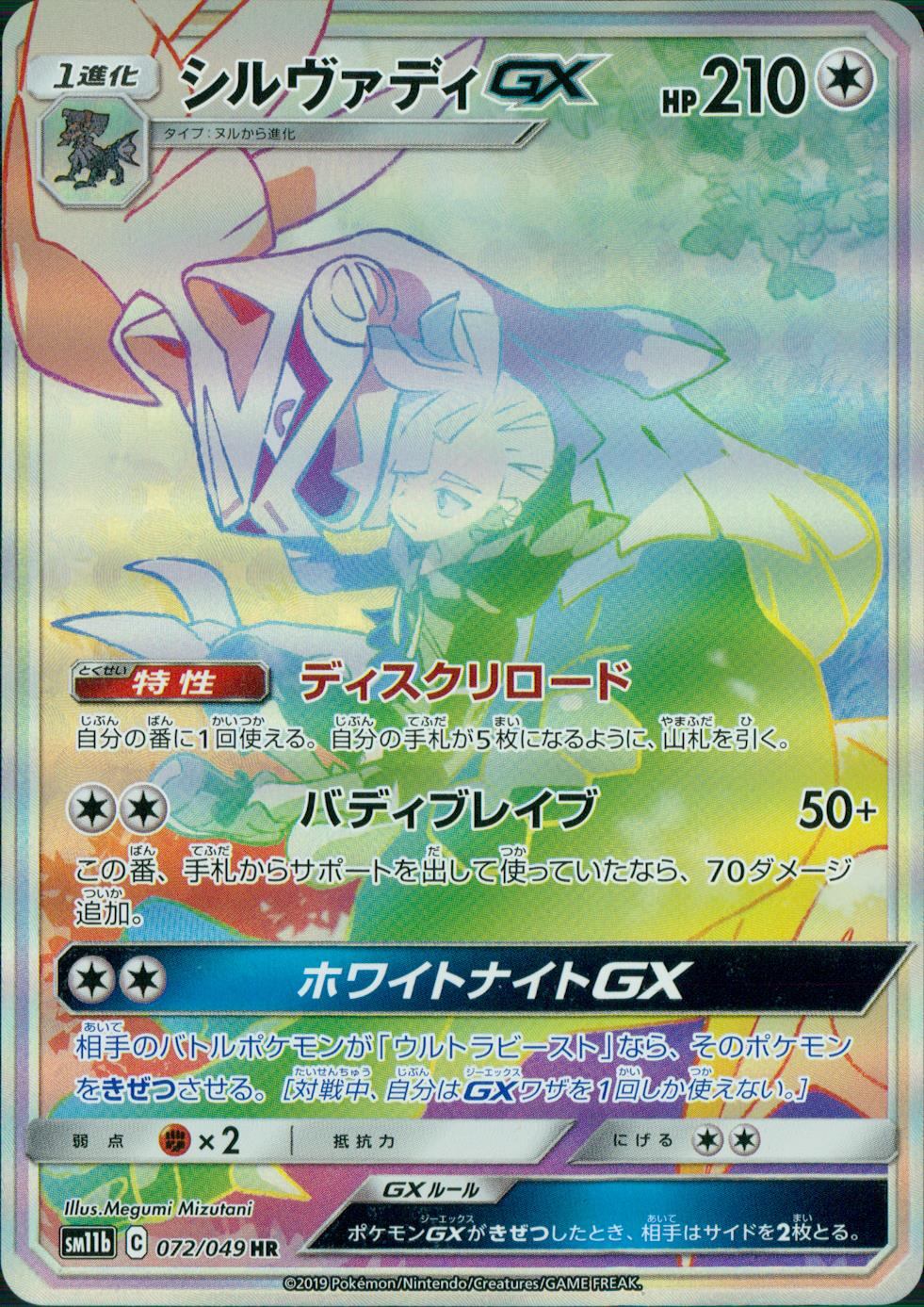 072/049/SM11B/B/HR シルヴァディGX
